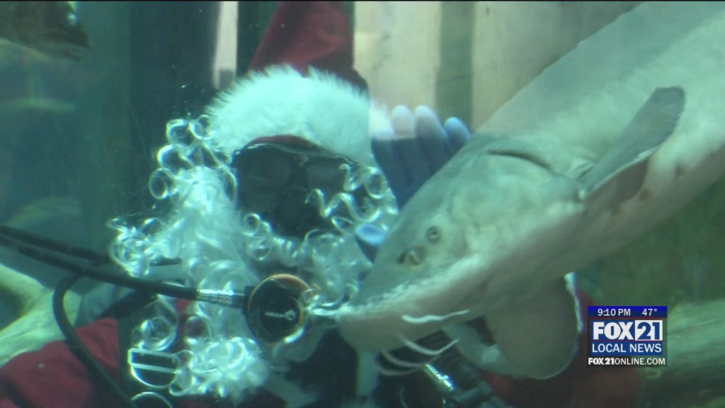 Scuba Santa