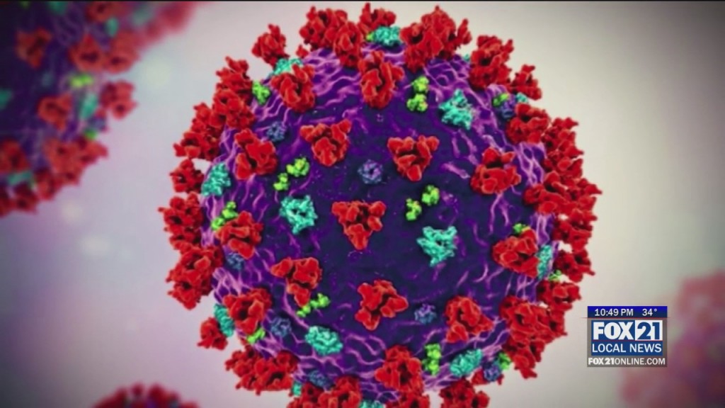 Northland Covid Update