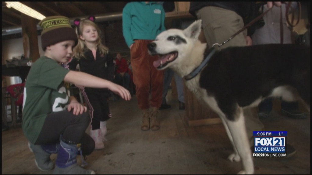 Bent Paddle Beargrease