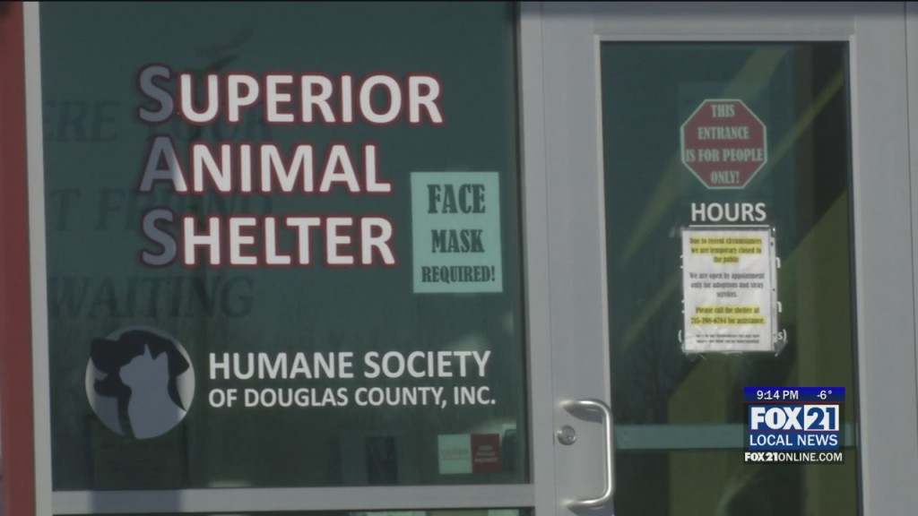 Animal Shelter