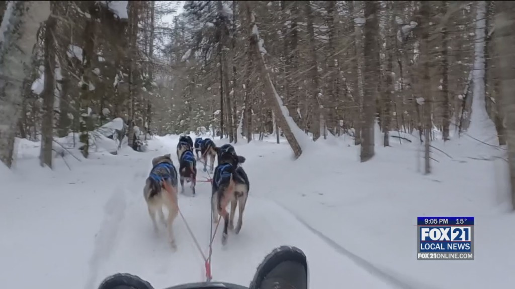 Wallins Prepare For Beargrease