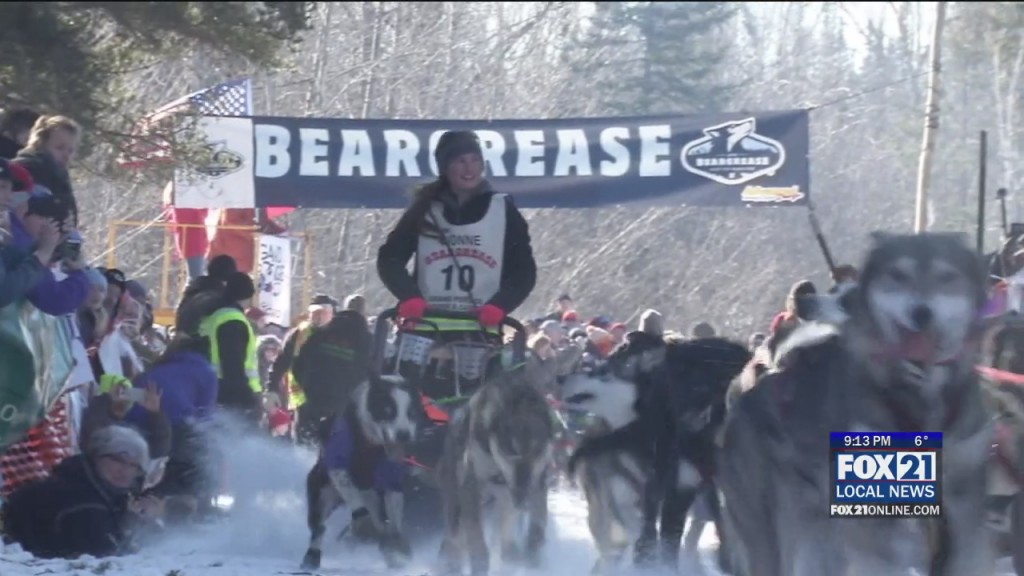 Beargrease