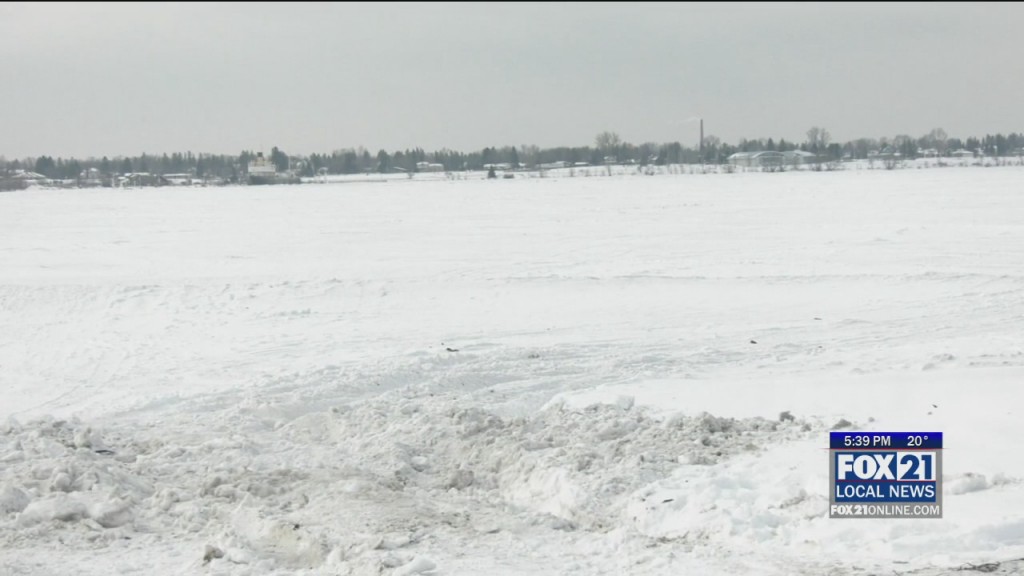 Polar Plunge Coming Up