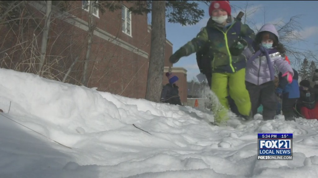 Congdon School Beargrease Race