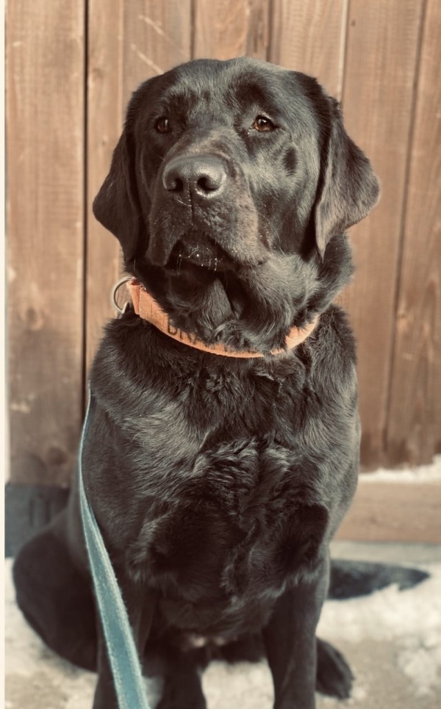 273141205 373922991210806 4165497660239870282 N