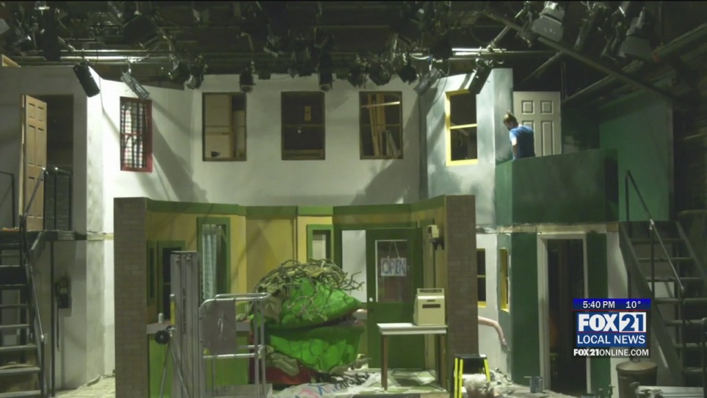 Css Little Shop Of Horrors