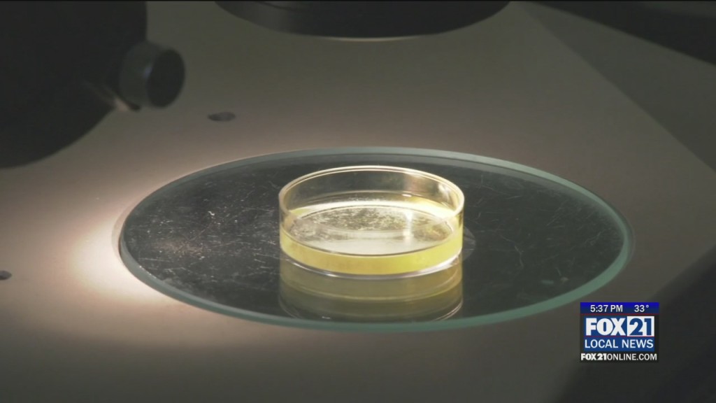 Umd Studies Show How Winter Can Affect The Great Lakes