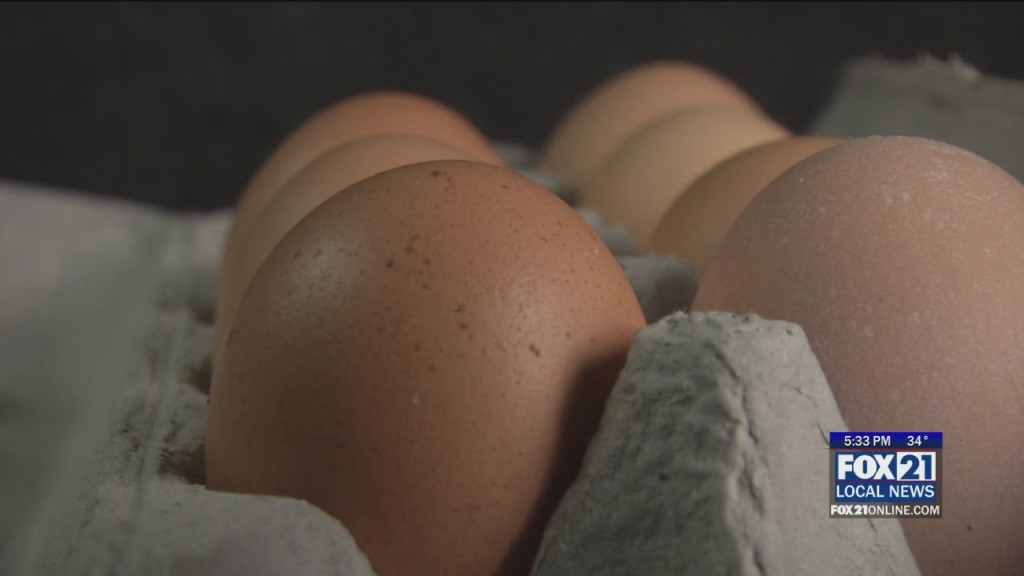 Chickens Under Quarantine As Bird Flu Hits Midwest