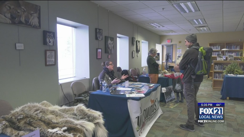 Wolf Fair Lake Superior College