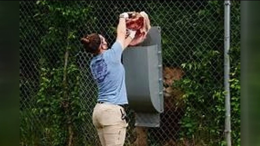 Thursday's Lunchtime Update