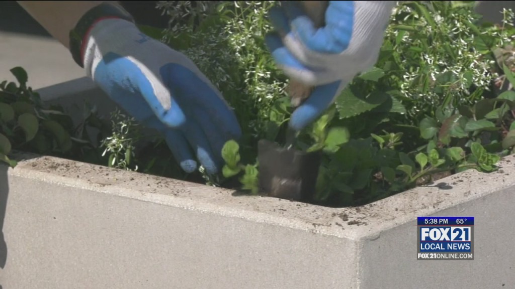 Kqds1 Mon Jun 06 17 00 Selection