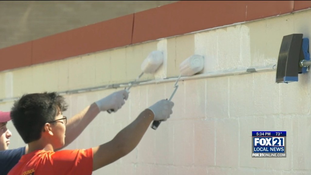 Boy Scout Paint Food Shelf