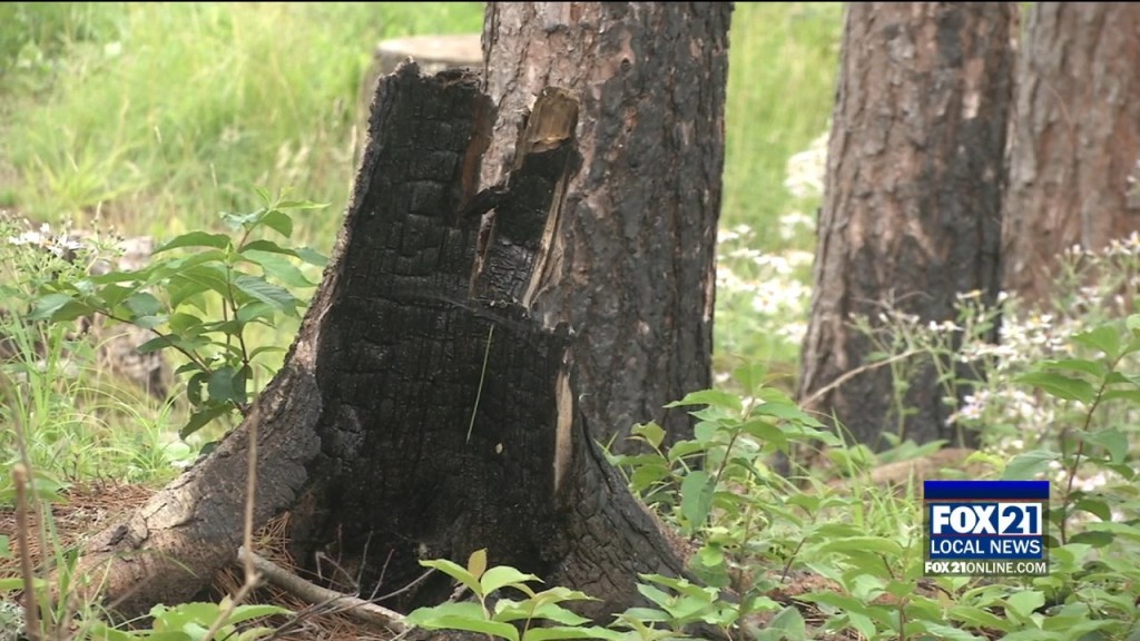Greenwood Fire Anniversary