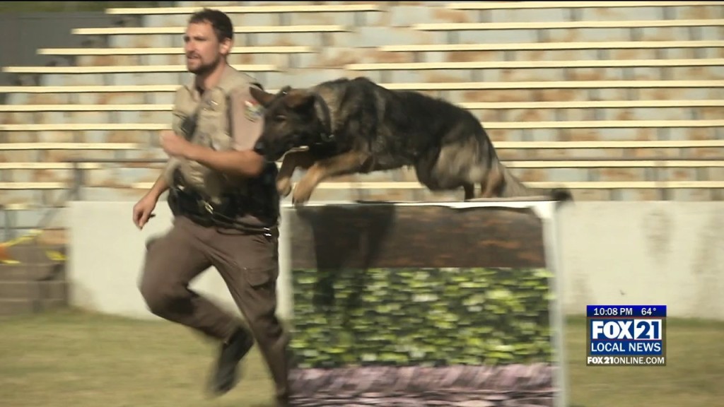 K9