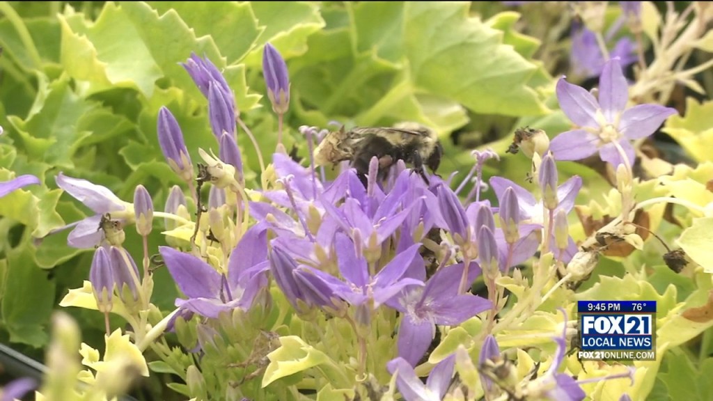 Knowing Your Neighbors