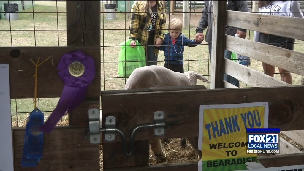 Bayfield County Fair