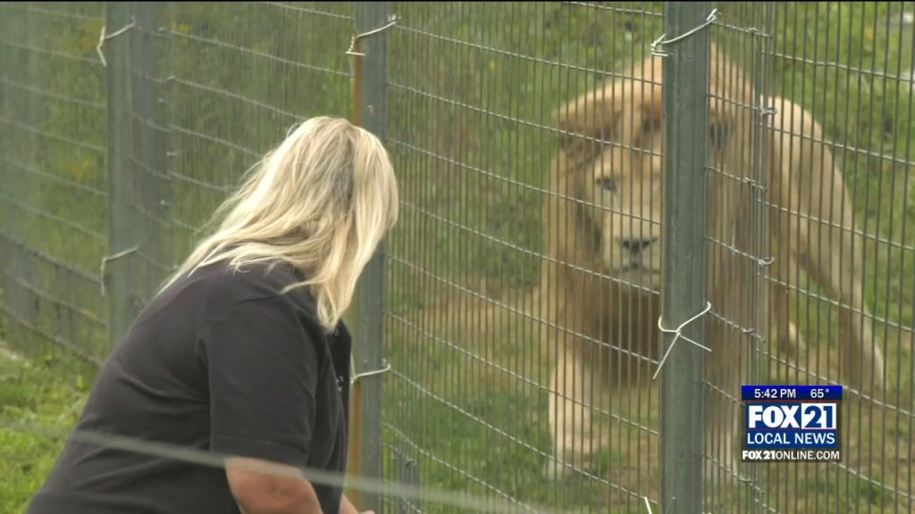 Kqds1 Tue Aug 16 17 00 Selection