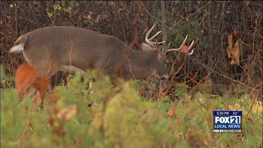 Kqds1 Thu Sep 29 17 00 Selection