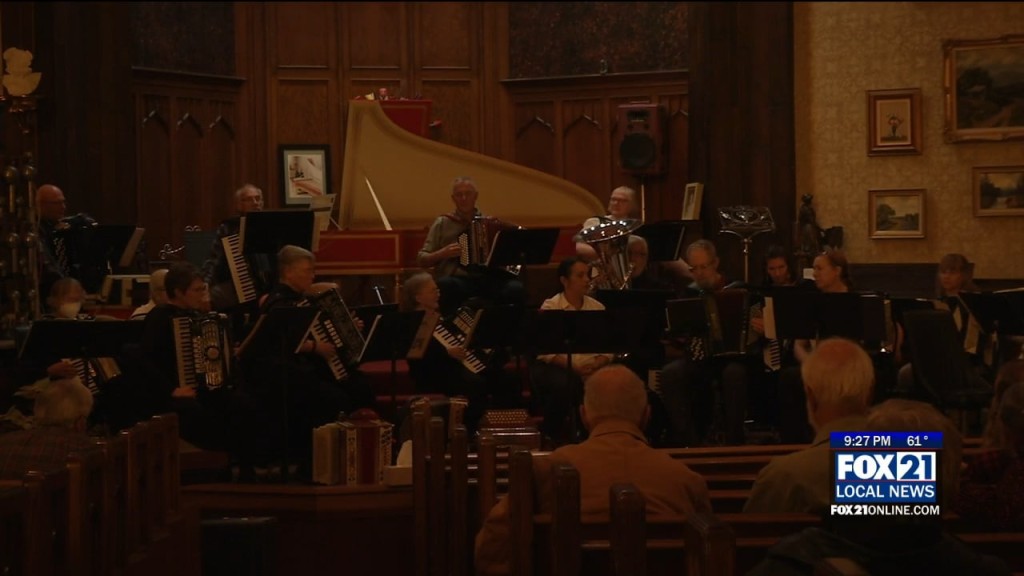 Accordion Performance