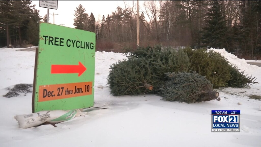 Treecycling