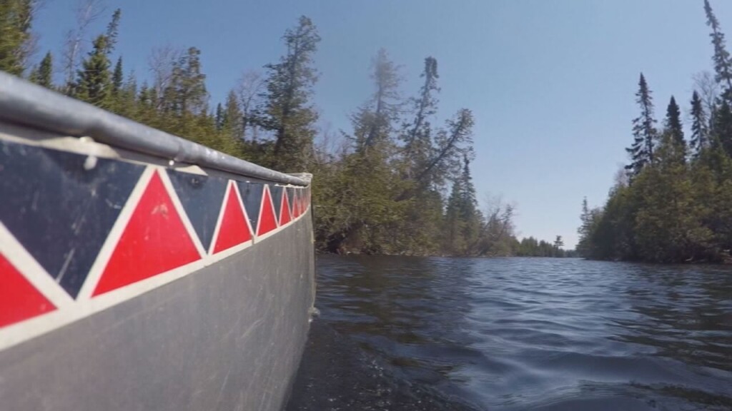 Bwca