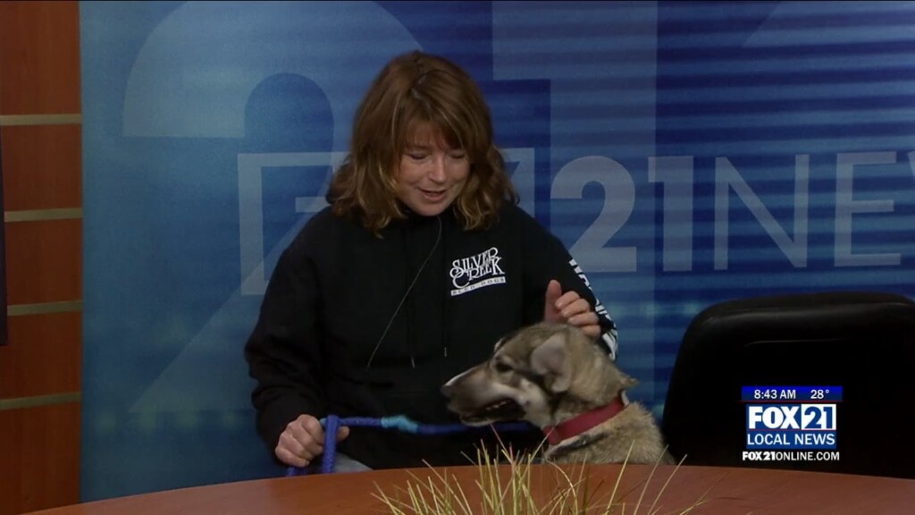 Kqds1 Wed Jan 25 08 00 Selection