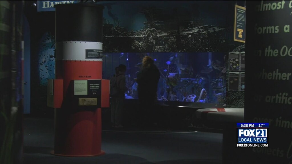 Aquarium Record Attendance