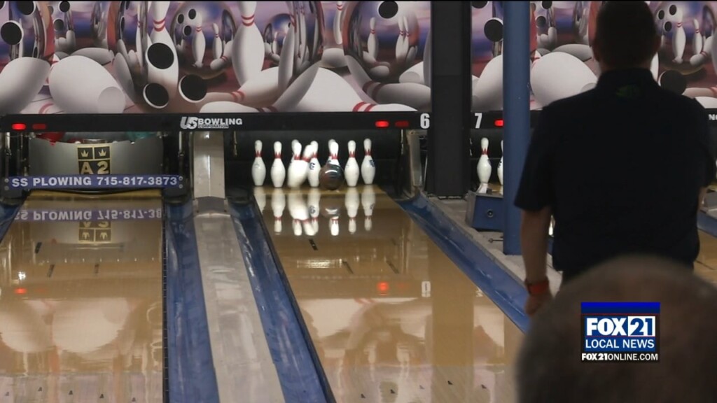 Bowling Hundeer Bowl