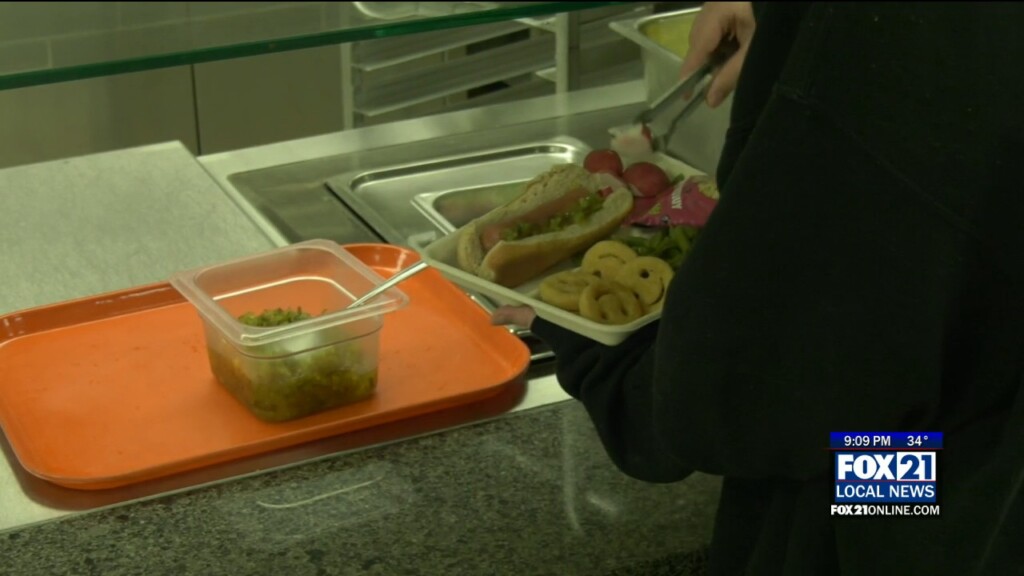 Free Lunch Reaction Magas