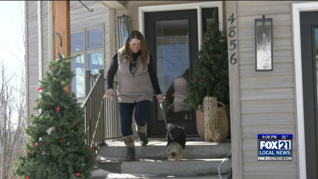 Pet Sitters To Superior