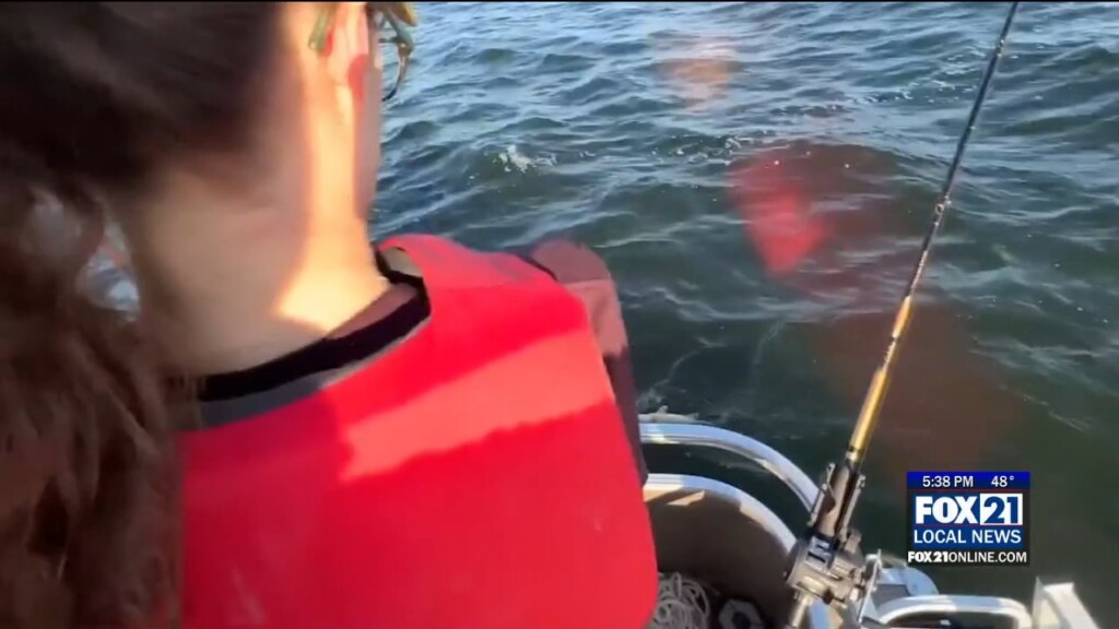 Mn Dnr Fishing Opening Safety