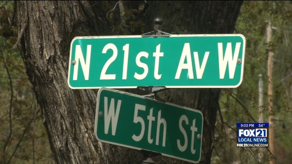 Lincoln Park Hit And Run