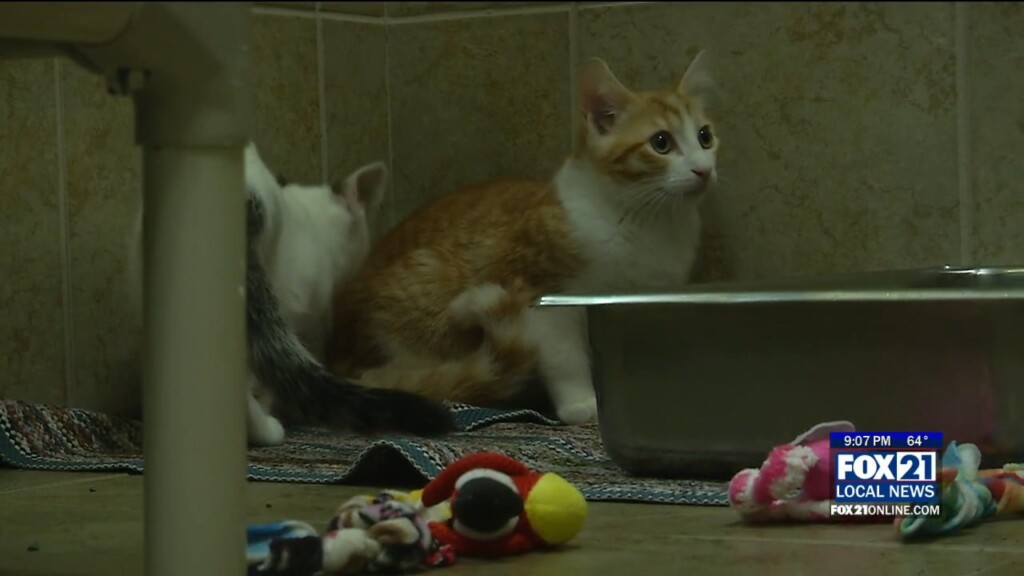 Kqds1 Fri Jul 28 21 00 Selection