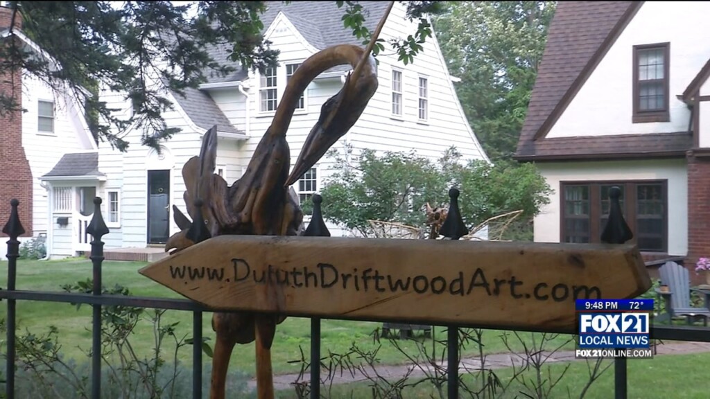 Driftwood Art
