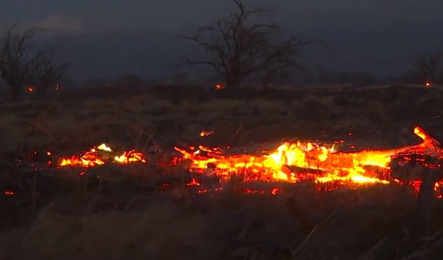 Maui Fires