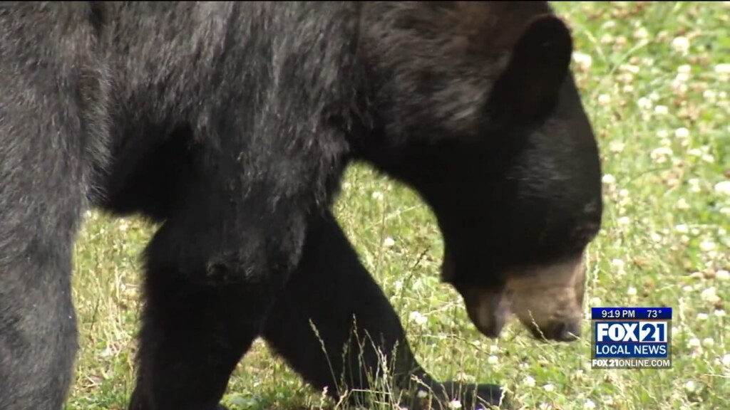 Kqds1 Mon Jul 31 21 00 Selection