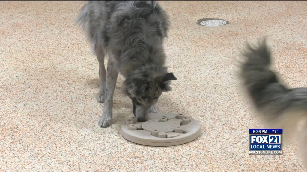 Kqds1 Fri Aug 18 17 00 Selection