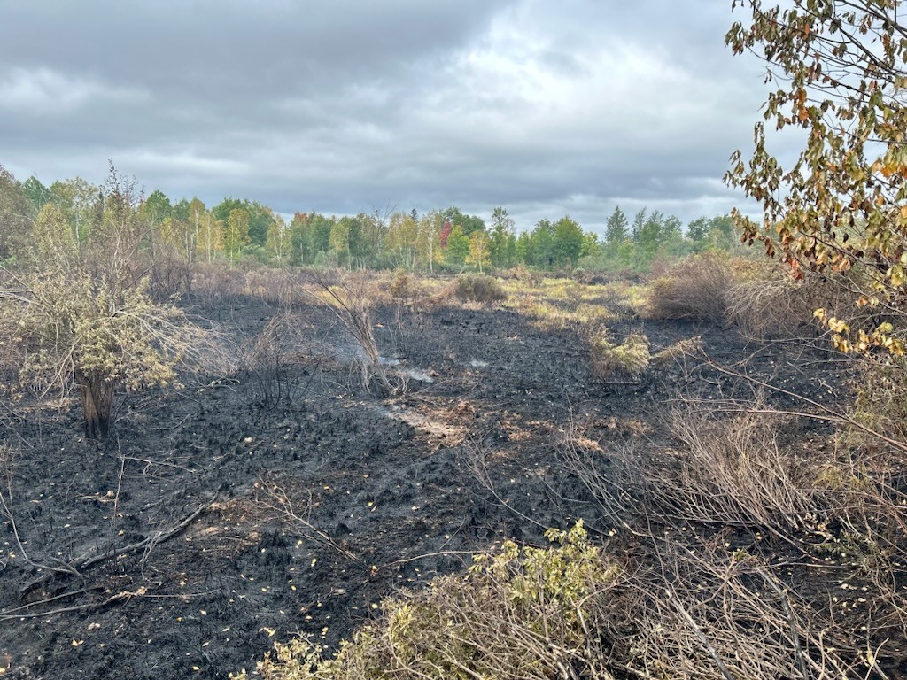 County Rd 11 Fire View Of Burned Area Credit To Aj Hoffman Us Fish And Wildlife Service