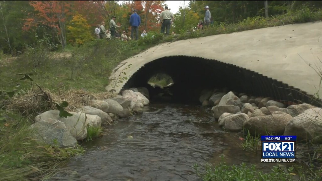 Trout Unlimited Foret Service