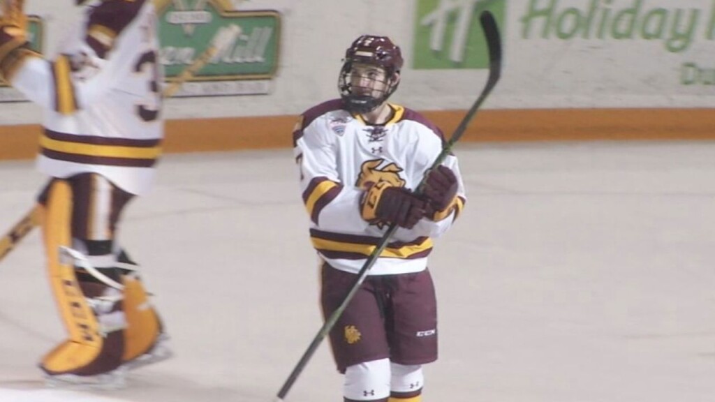 Adam Johnson, UMD Hockey