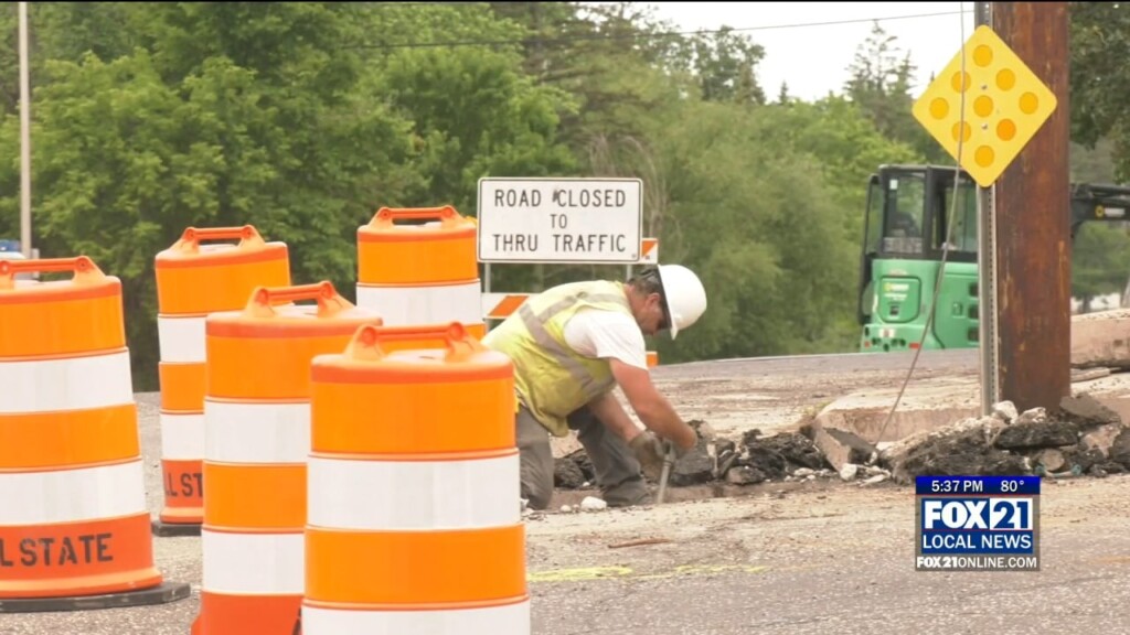 Treet Improvement Plans