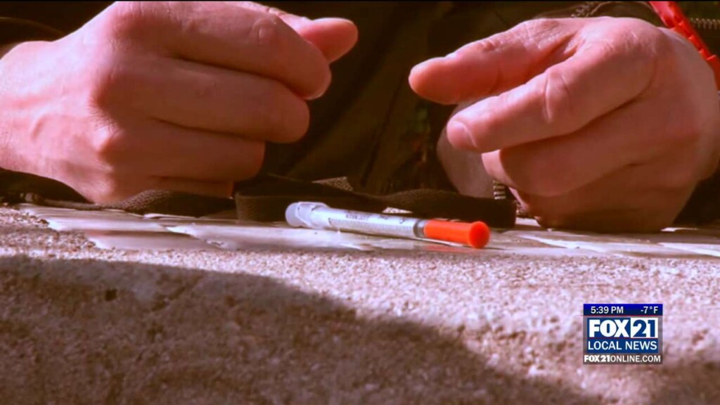 Opioids On The Rise Image