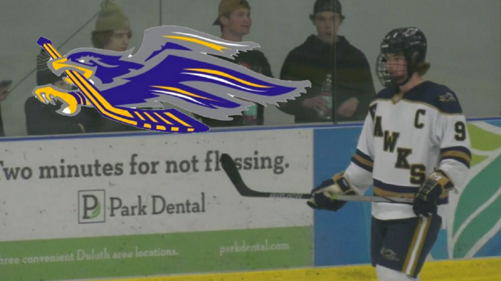 Hermantown boys Hockey