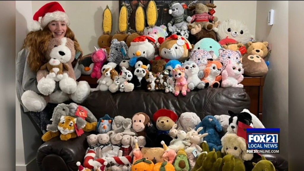 Stuffed Animal Drive