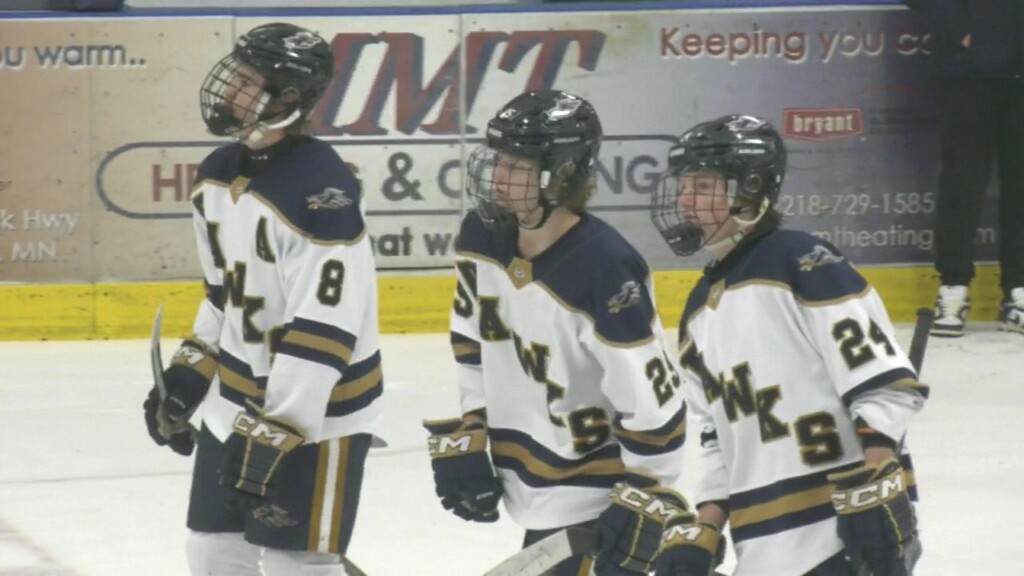 Hermantown boys hockey