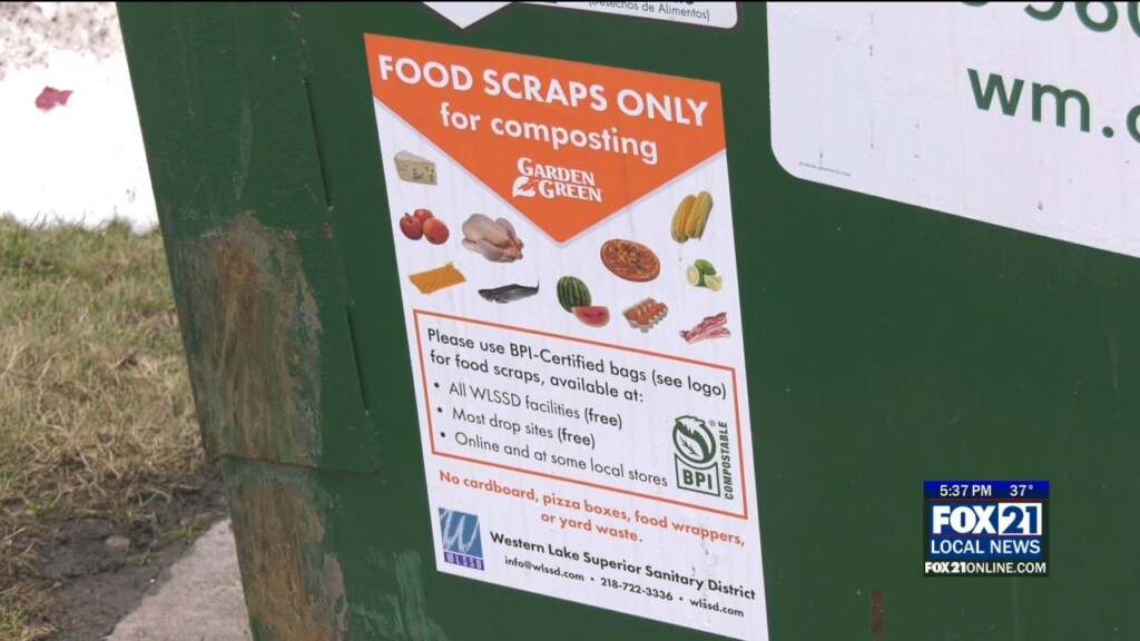 Food Scraps