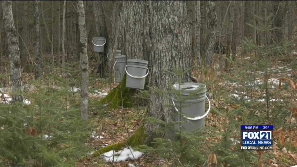 Kqds1 Thu Feb 08 21 00 Selection