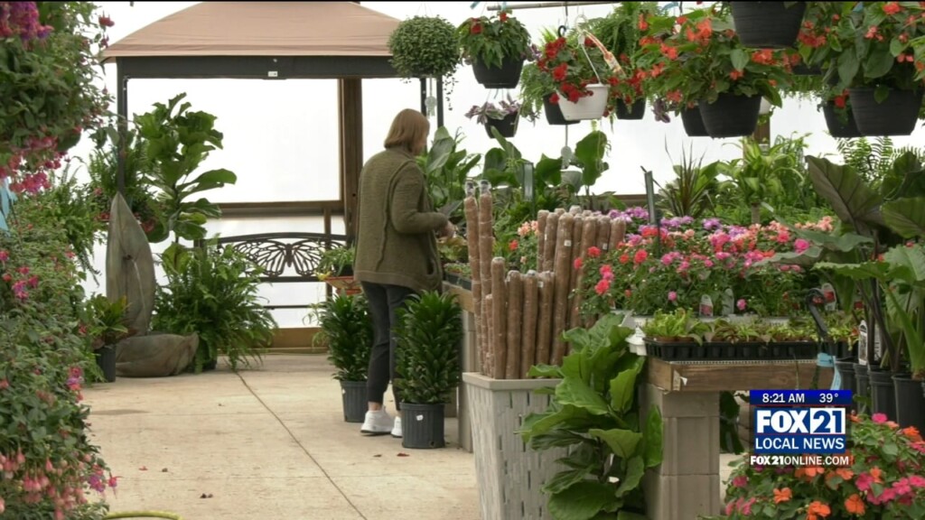 Kqds1 Tue Mar 12 08 00 Selection