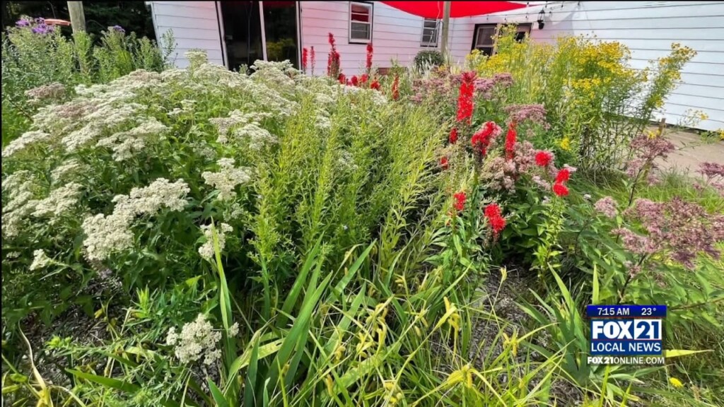 Kqds1 Fri Mar 08 07 00 Selection