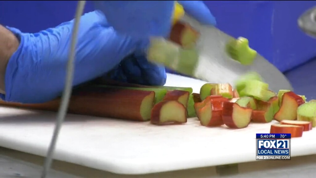 Rhubarb Preparations
